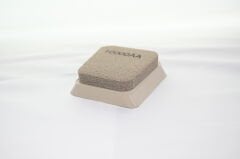 Sponge (Sünger cila)